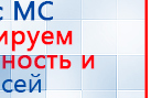 Пояс электрод купить в Клинцах, Электроды Меркурий купить в Клинцах, Нейродэнс ПКМ официальный сайт - denasdevice.ru